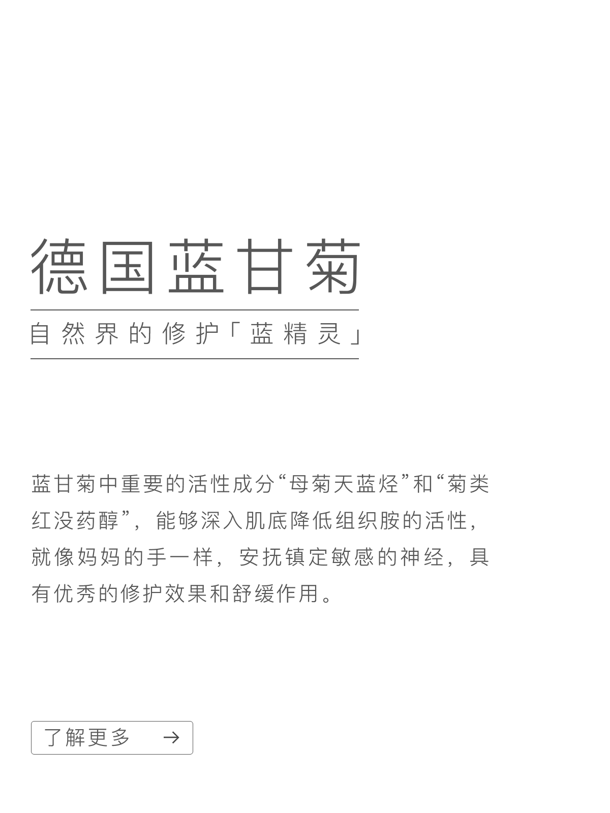 贝德美-蓝甘菊